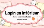 Lapin en intérieur : comment aménager son espace et éviter les bêtises