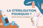 L’importance de la stérilisation du lapin ❤️