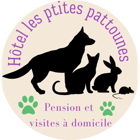 Boutique Les P'tites Pattounes