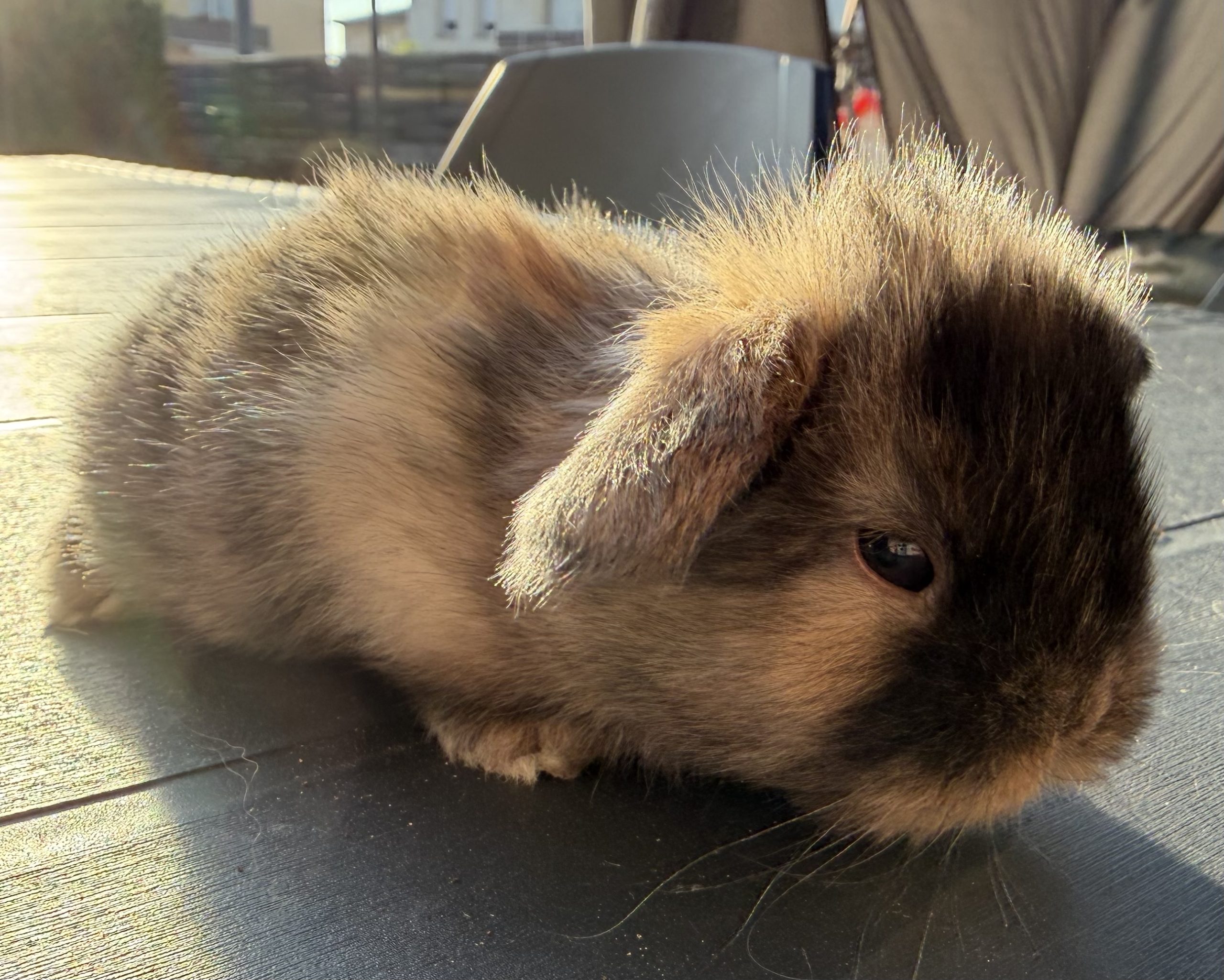 Pixel